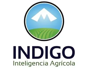 Indigo Drones logo